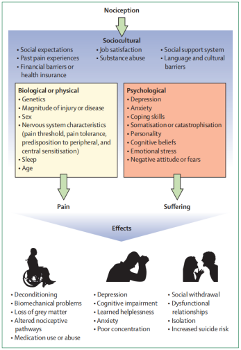 Biopsychosocial model and consequences of chronic pain