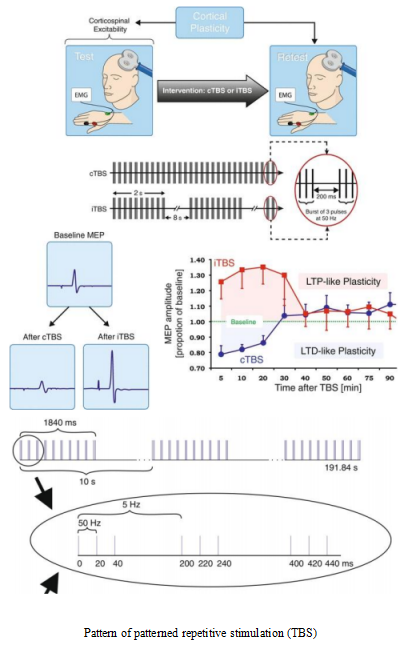 Pattern of patterned repetitive stimulation (TBS)