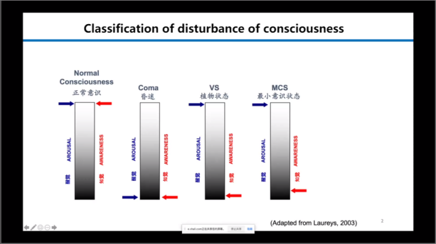 classification of disturbance of consciousness